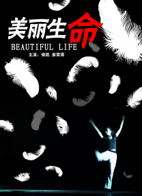 av网在线观看